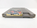 Mike Tysons Punch Out (#C2)