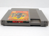 Ninja Gaiden (C#2)